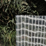 Tecido Plástico Transparente  20,05m²